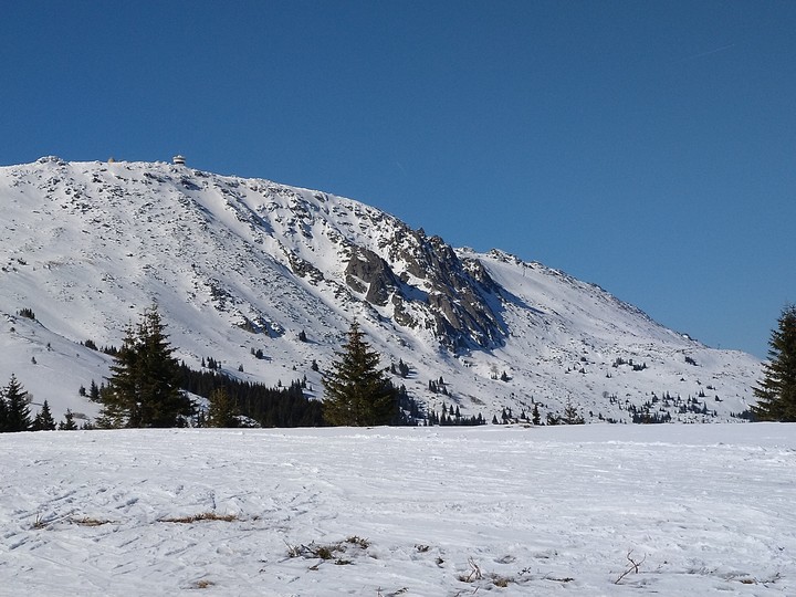 VITOSHA