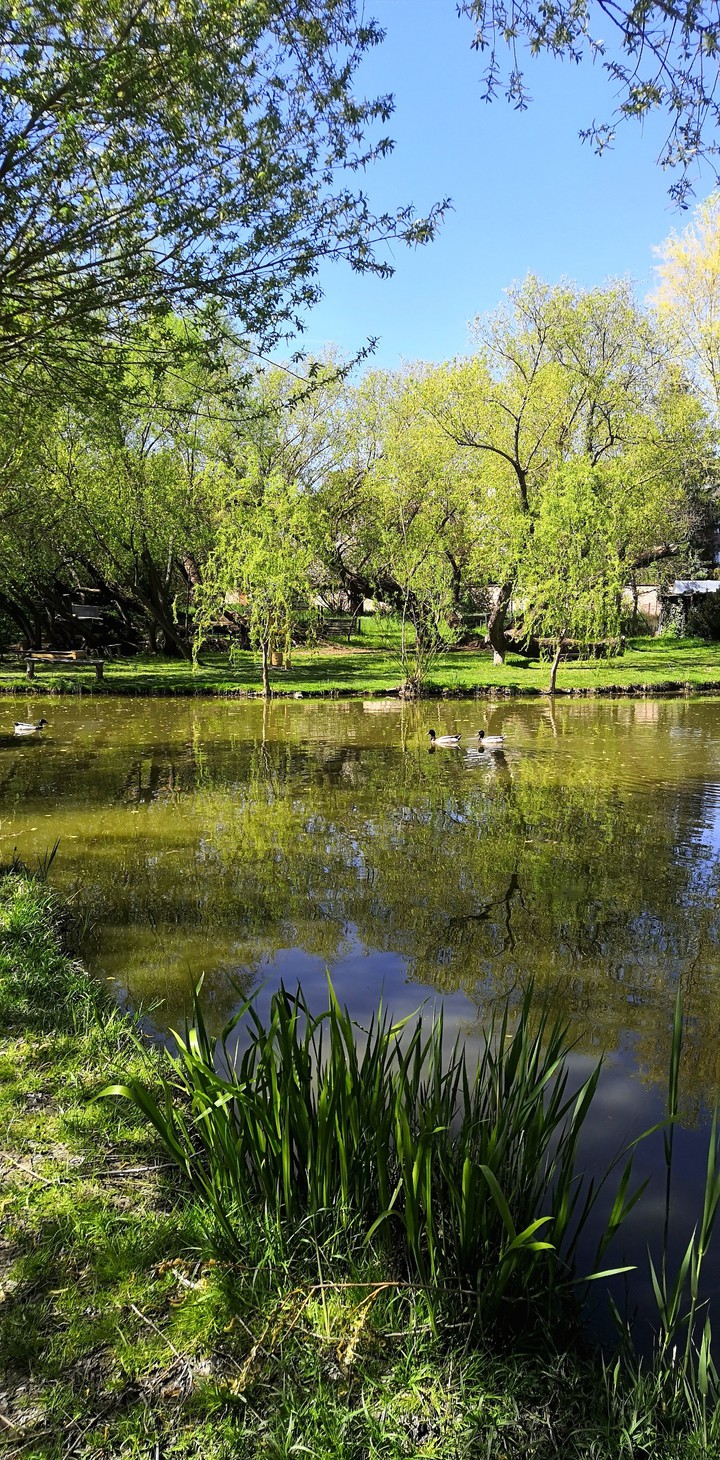 Pond_nature_park