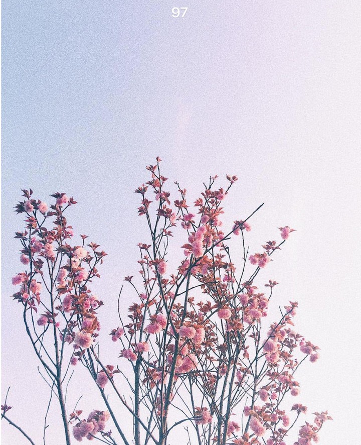 한적한 공기