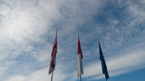 Georgian Flag
