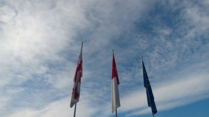 Georgian Flag