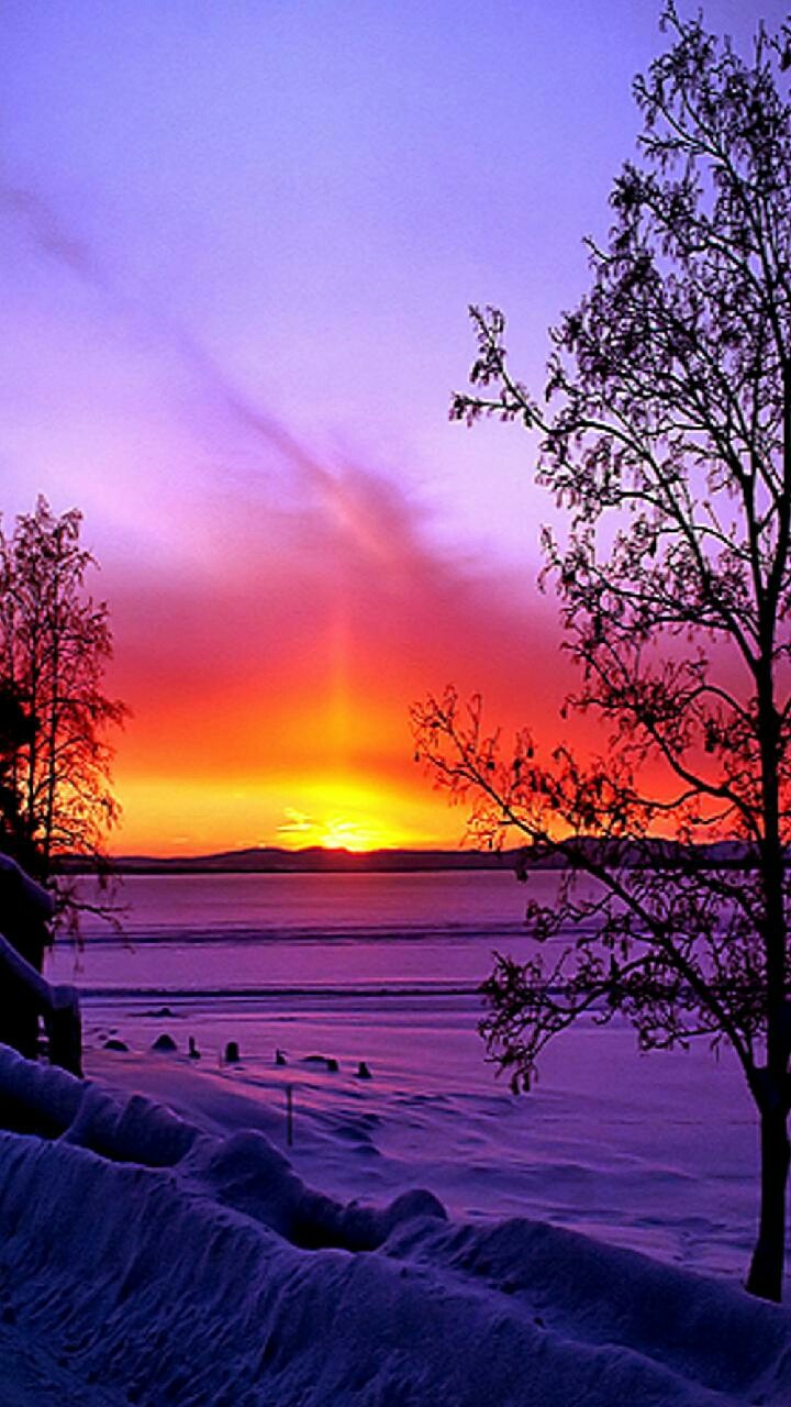 paysage