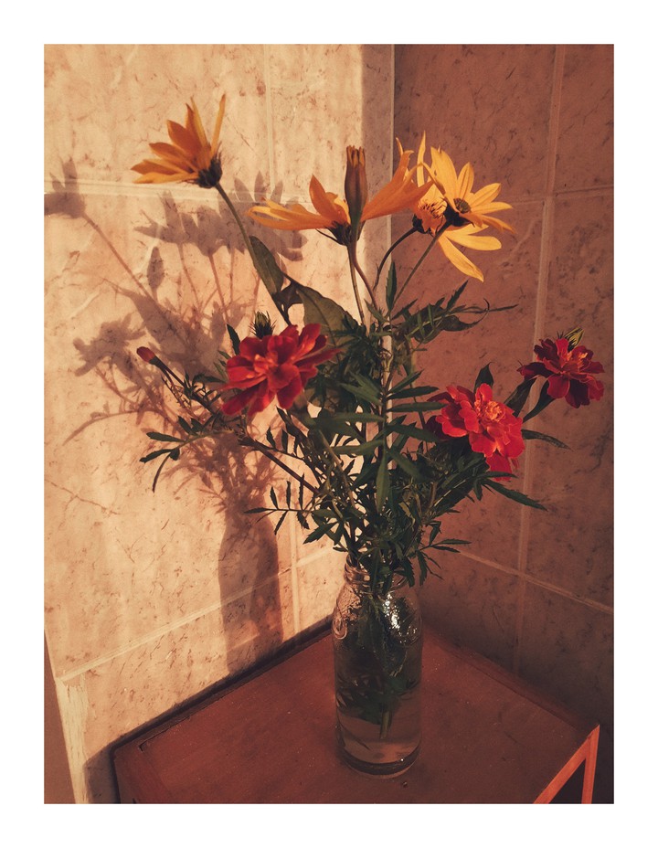 flower