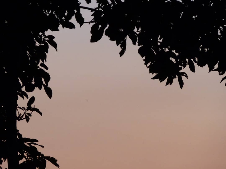 nuit