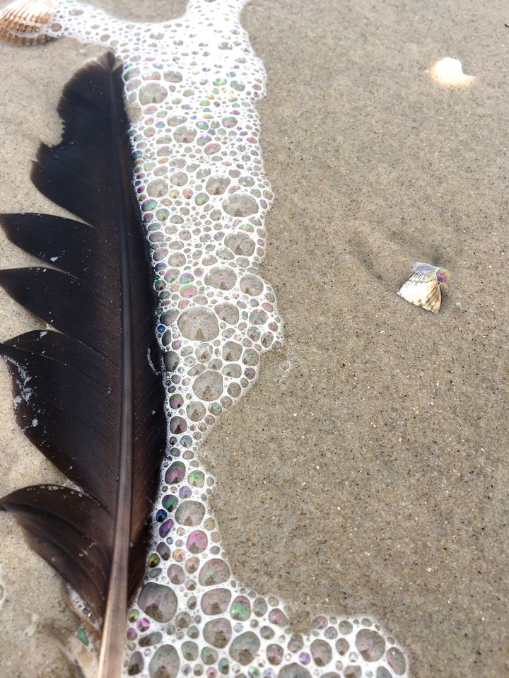 Fundsachen am Strand