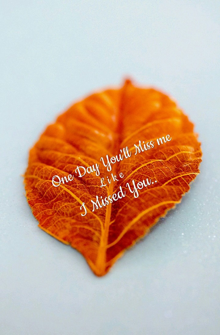 words on leaf