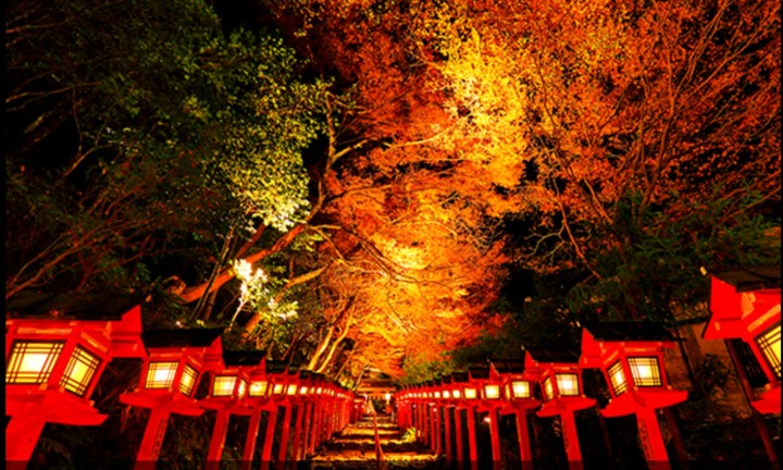 crimson lanterns & foliage