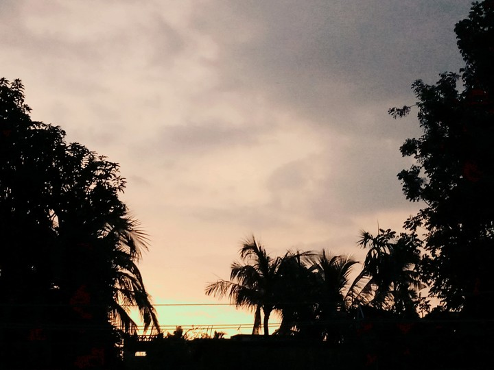 beauty of nature