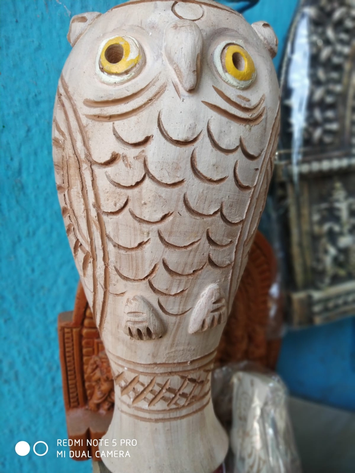 owl