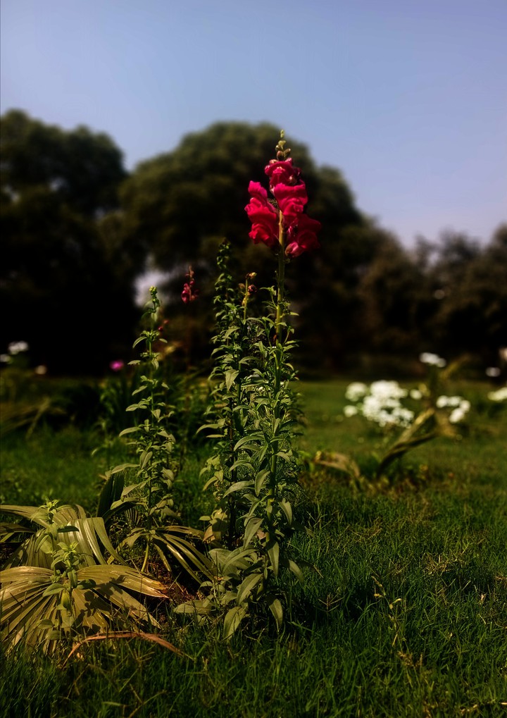 Beauty of Nature