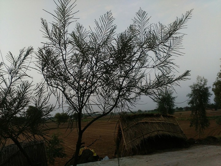 village scenic beauty