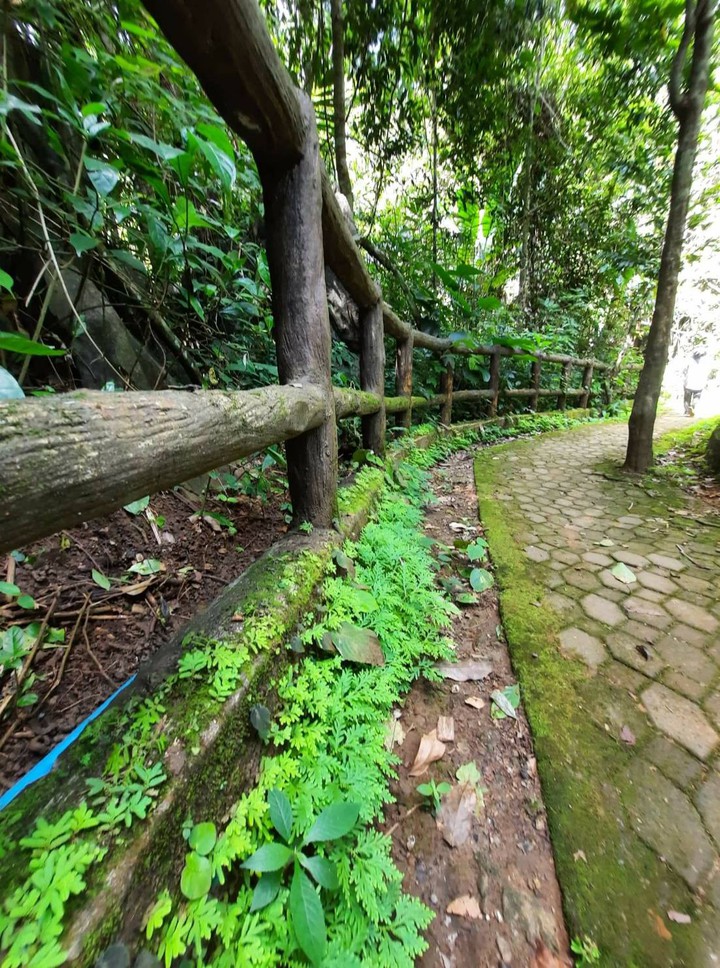 Nature