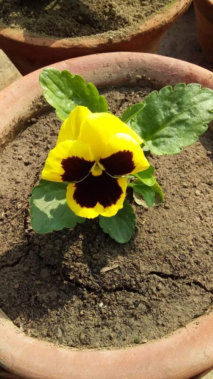 ?