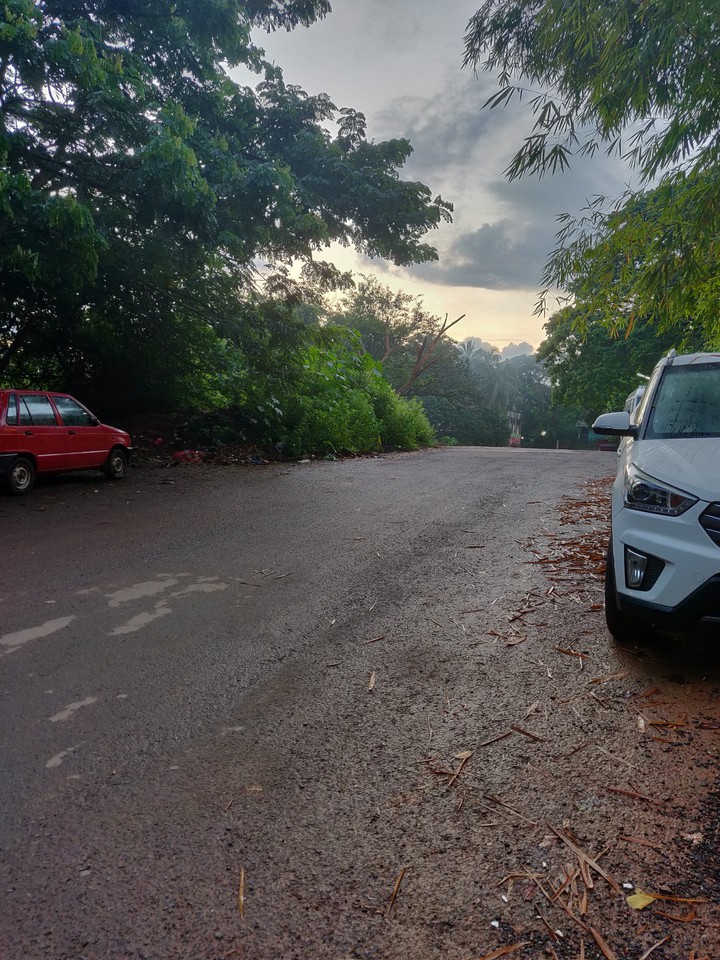 morning walk scenery