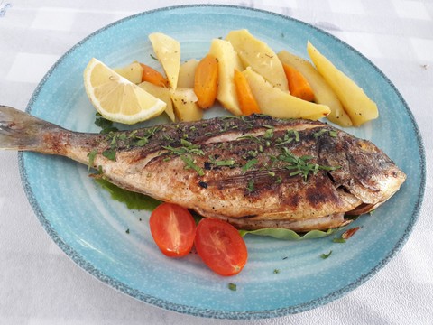 Dorada