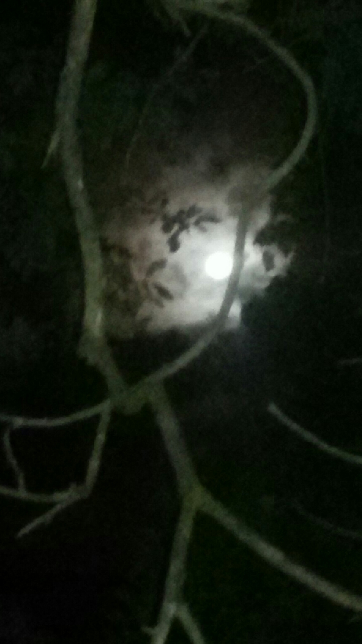 Vollmond