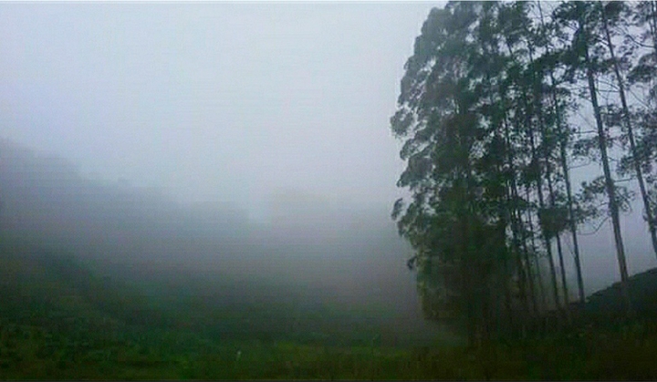 Névoa