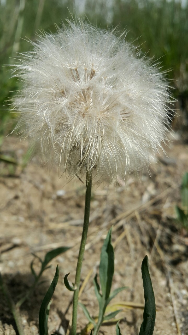 doğa