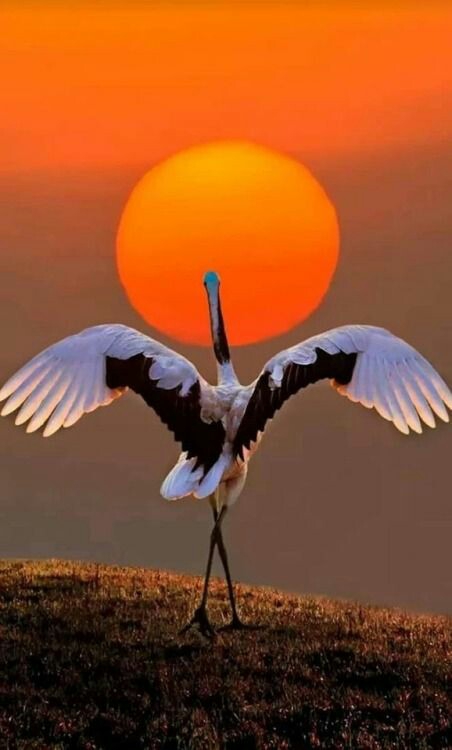 beautiful ❤