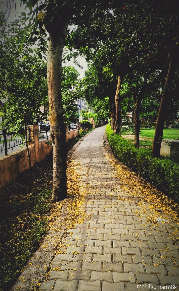 Nature