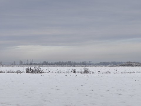 fonds d'écran plant, landscapes
