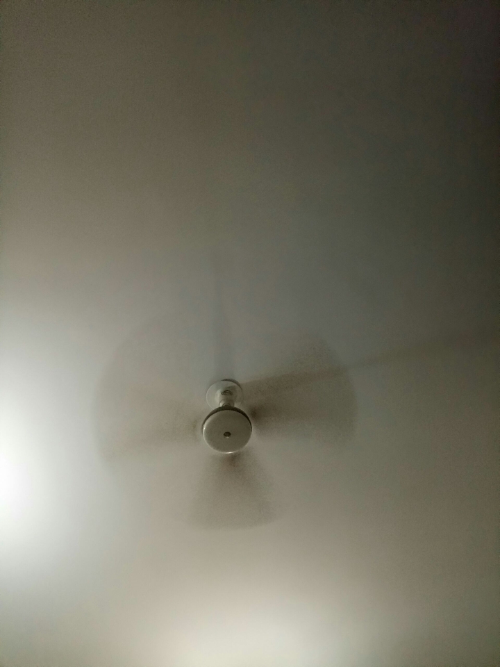 Fan