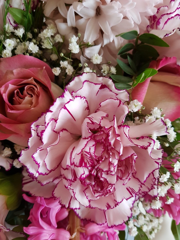 pink flowers