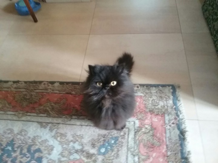 ben
