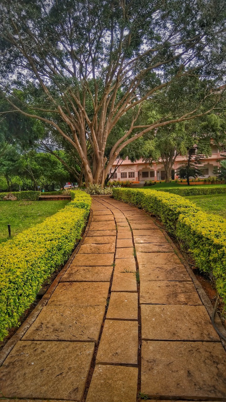 pathway