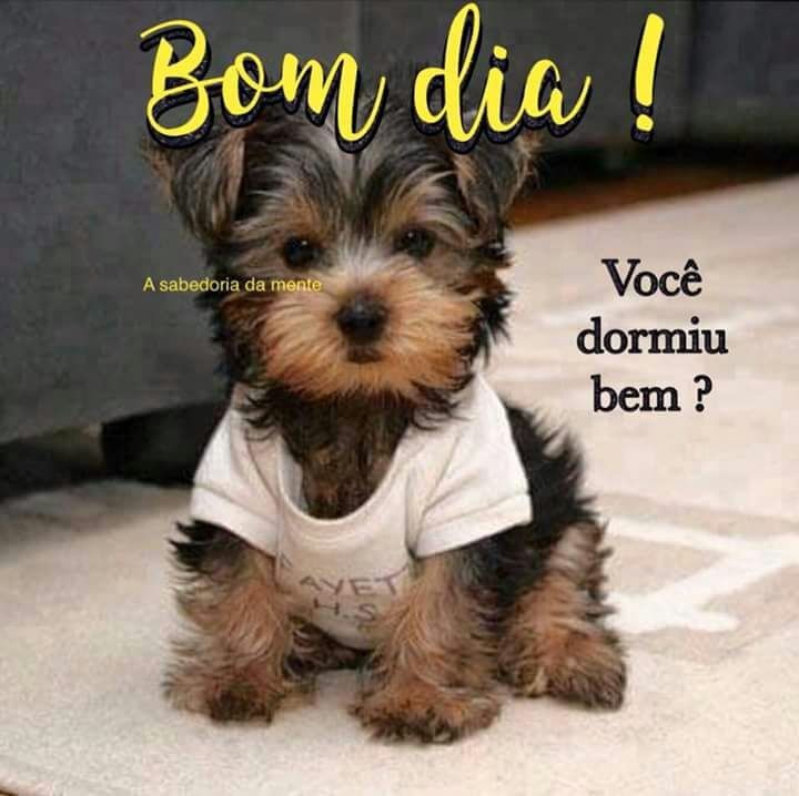 Bom dia amigos queridos