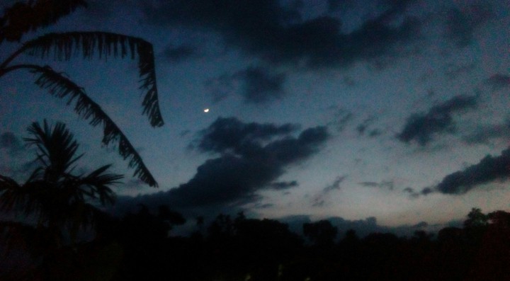 Evening