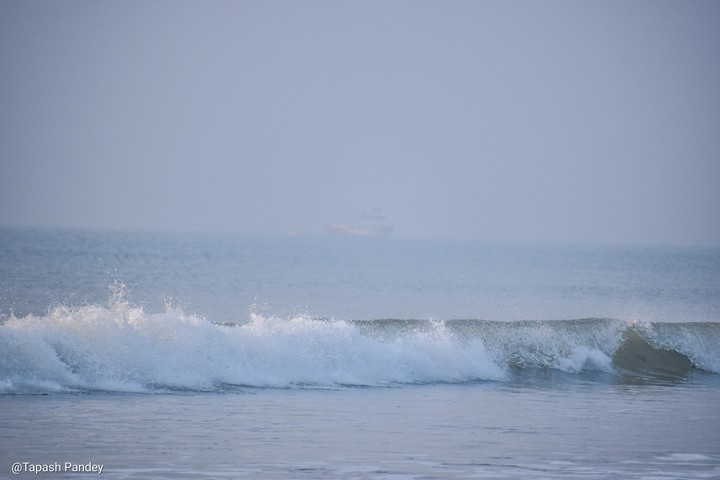 Good Morning, Sea Beach..