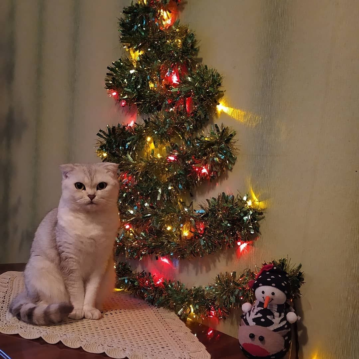 Моя...