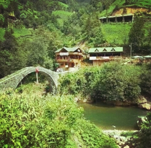 manzara