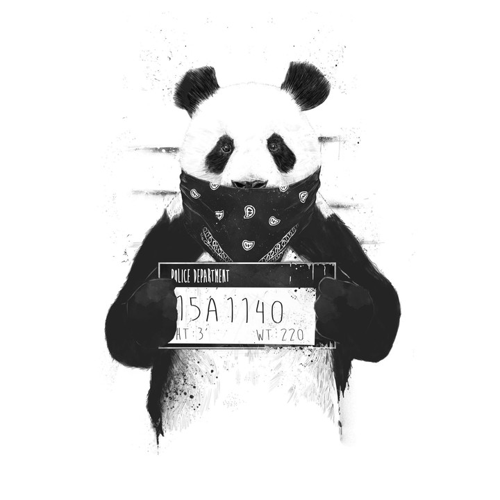 panda