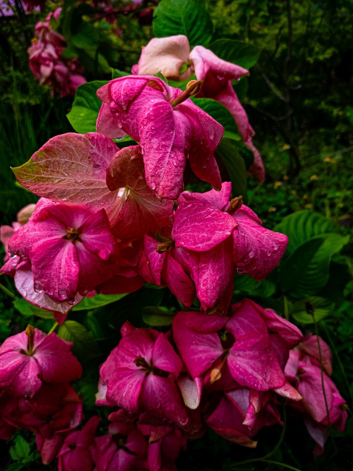 This colour is just mind-blowing
