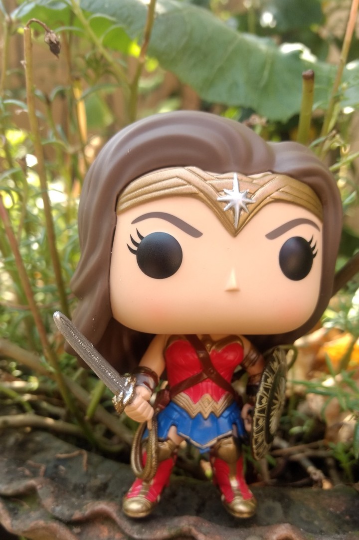 wonder women