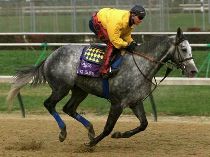 All the Pretty Horses