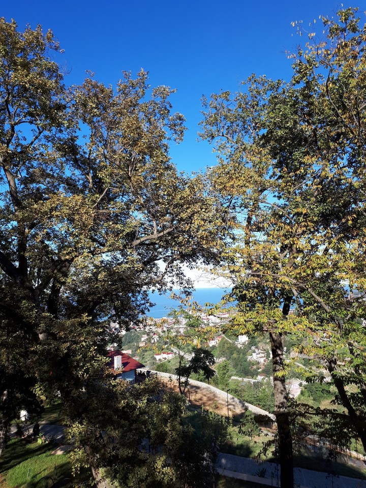 Rabbimin Bahşettikleri