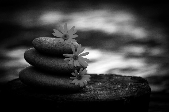 Monochrome