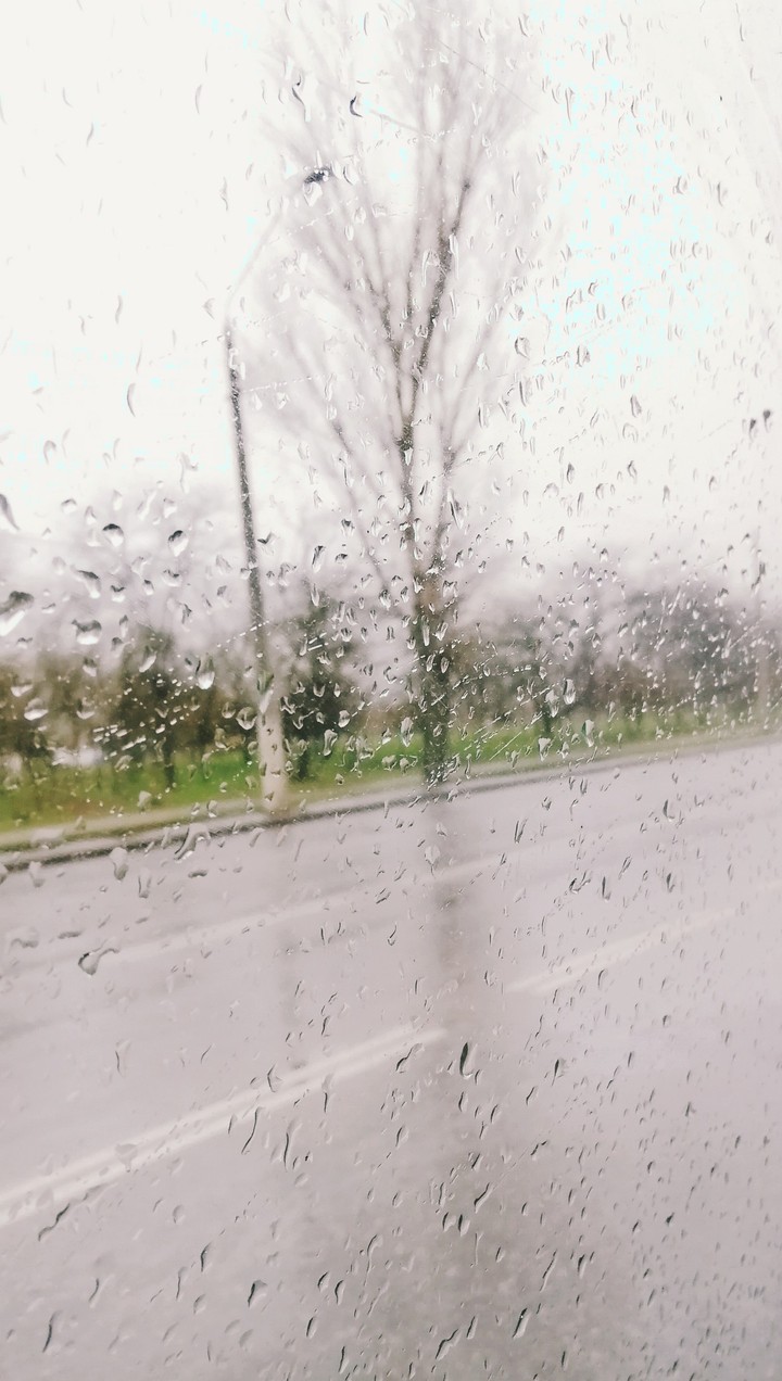 spring is coming.