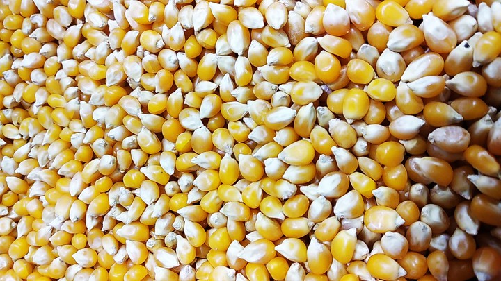 corn