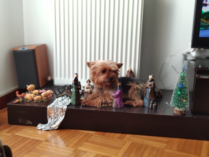Navidades