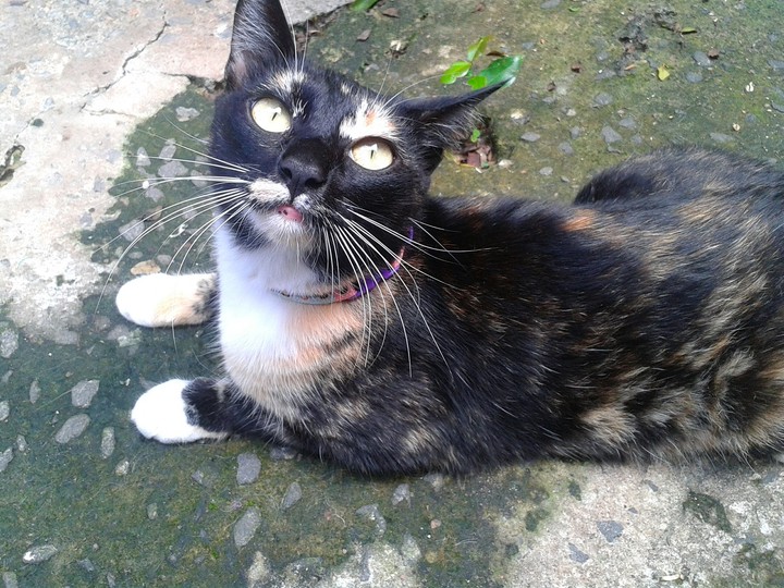 ♥Madelaine♥