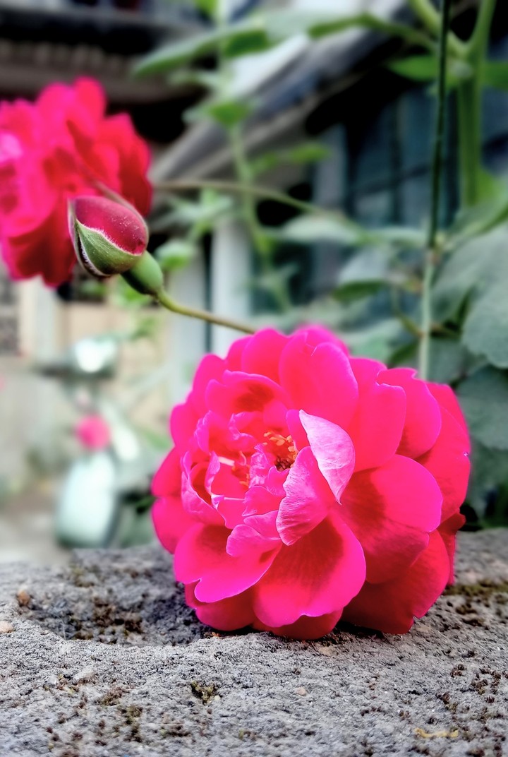 nature