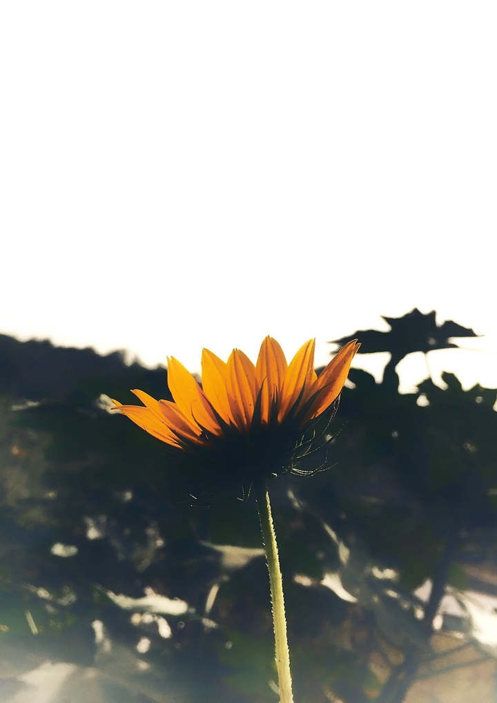 start something new today