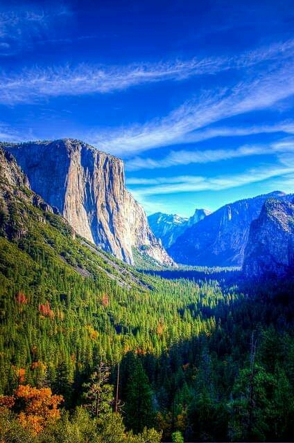 scenic beauty