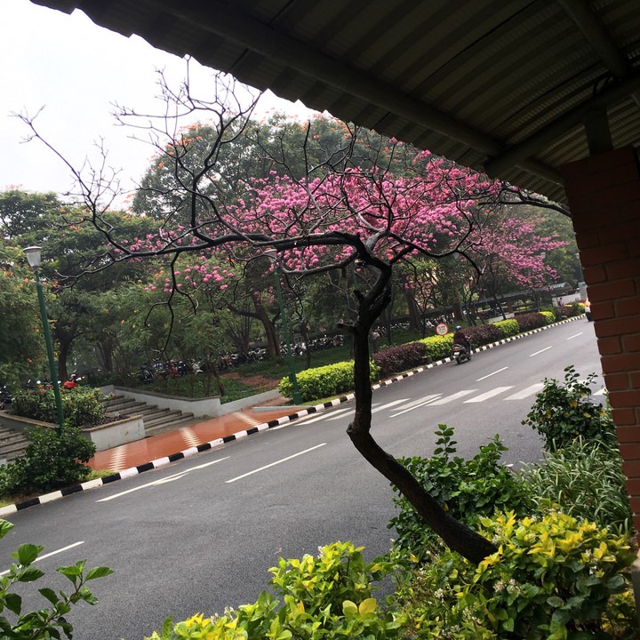 fresh morning capture!!