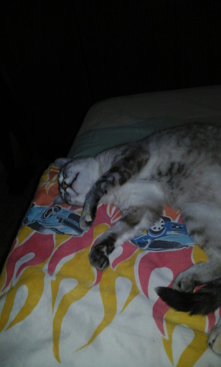 bebé zzzzzz