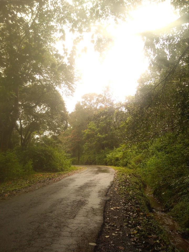 beauty of nature